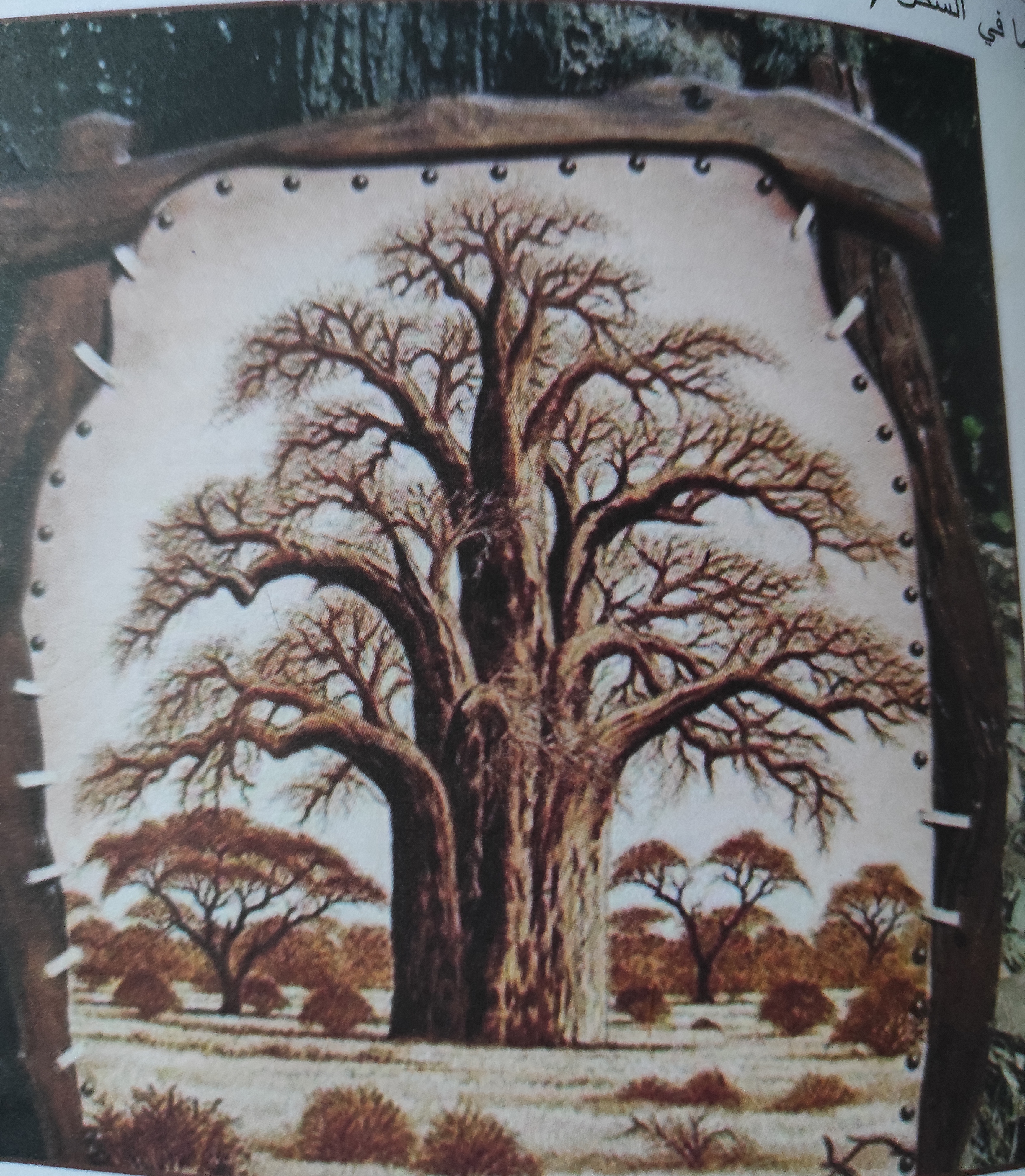 صورة الدورة